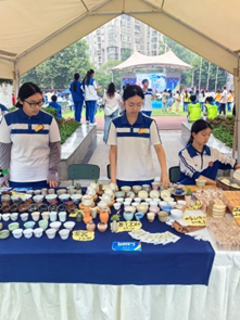 1750749484252008.png image.png