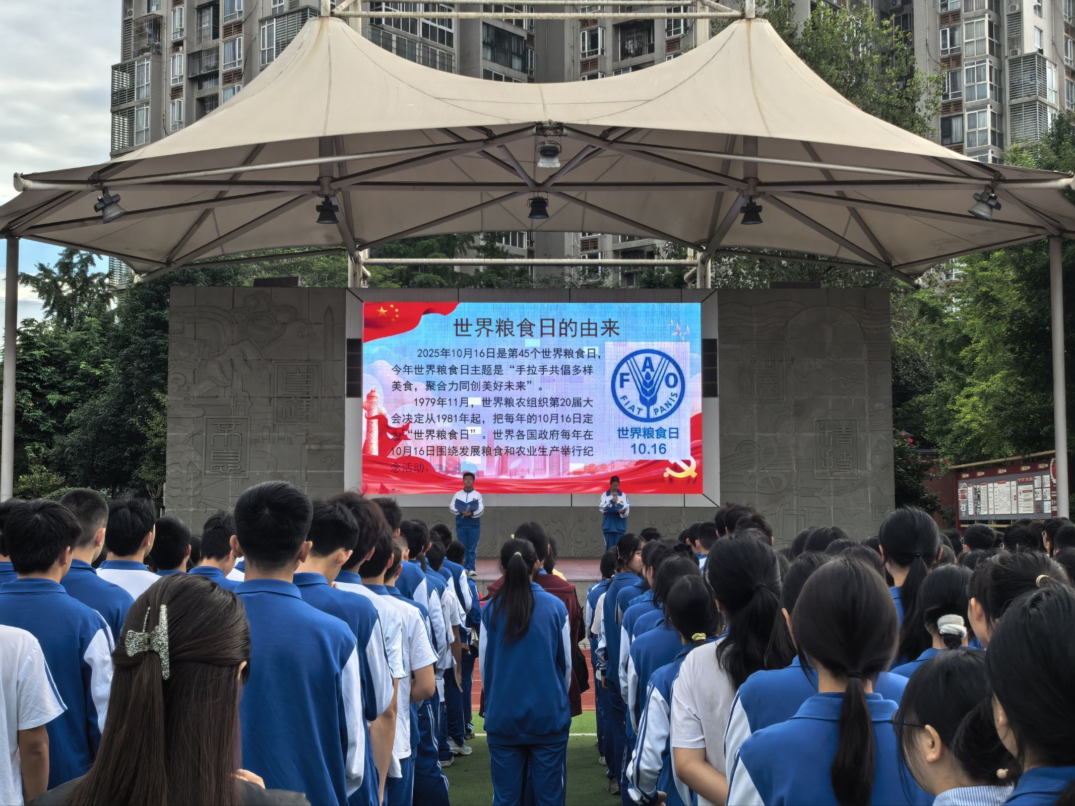 1760404707658771.jpeg 1760404707658771.jpeg