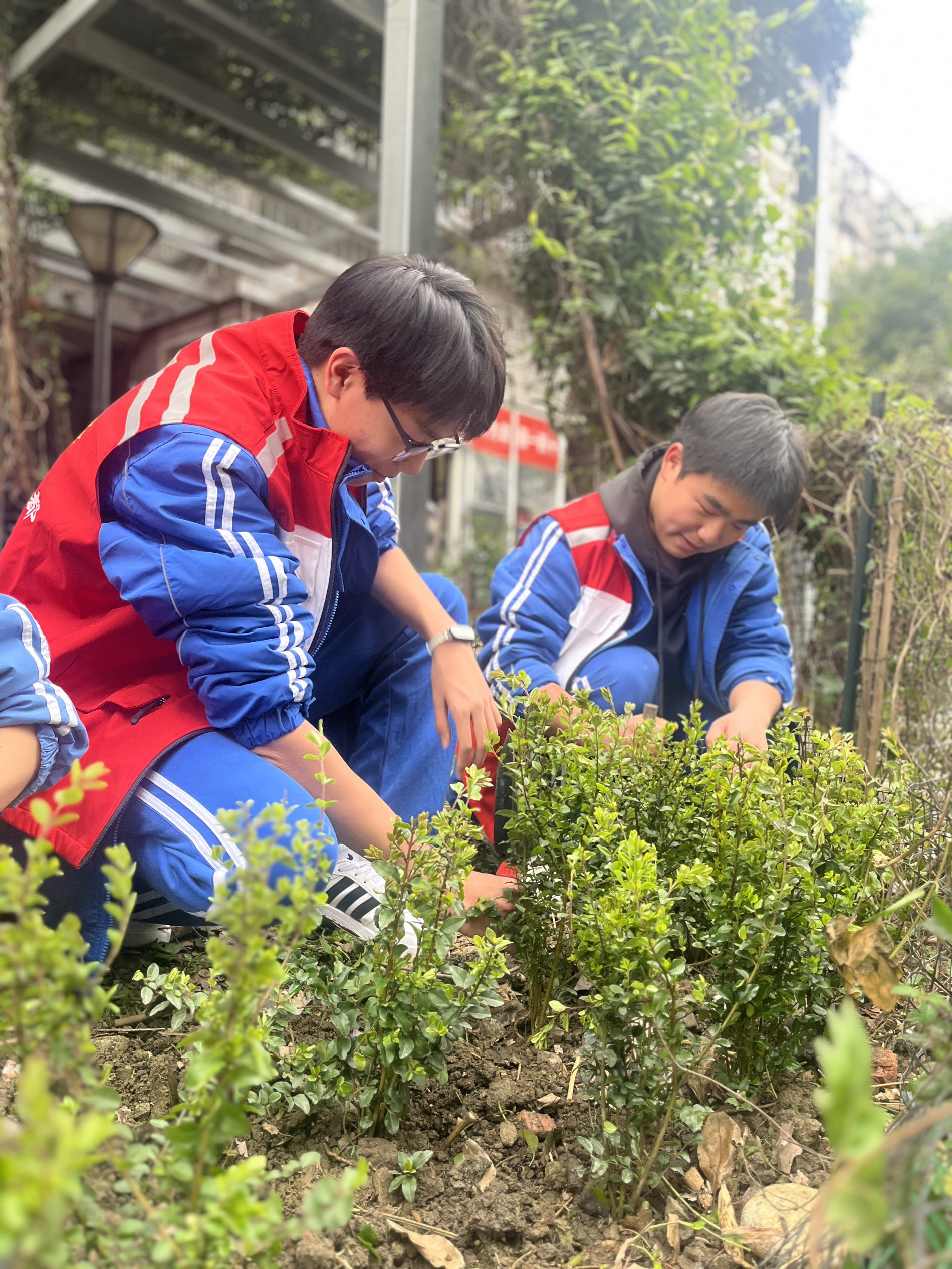 1776234727424949.png 1776234727424949.png